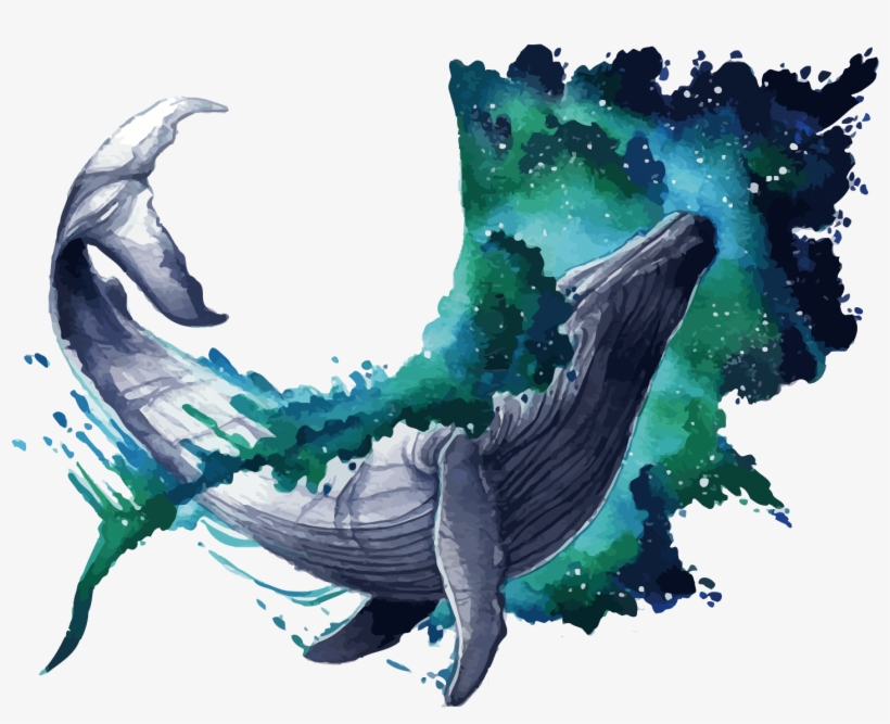 Blue Whale Ar - Illustration, transparent png #8819411