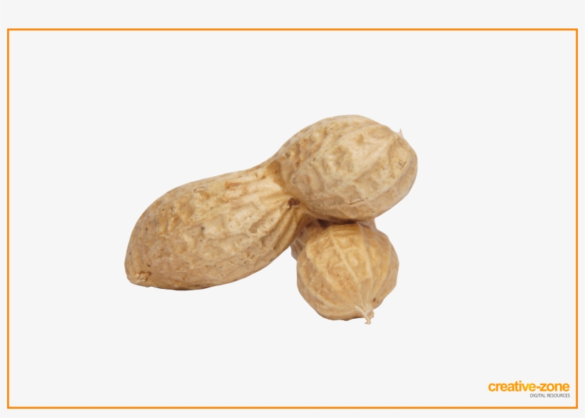 Peanuts, Arachis In Shell - Peanut, transparent png #8819769