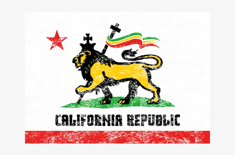 Graphic Design, transparent png #8820927