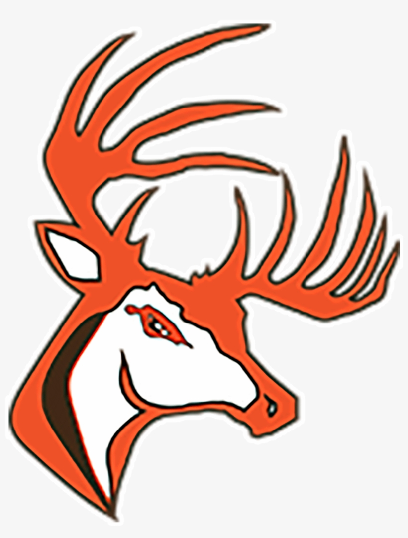 Buckeye Bucks - Buckeye Local Schools Logo, transparent png #8821833
