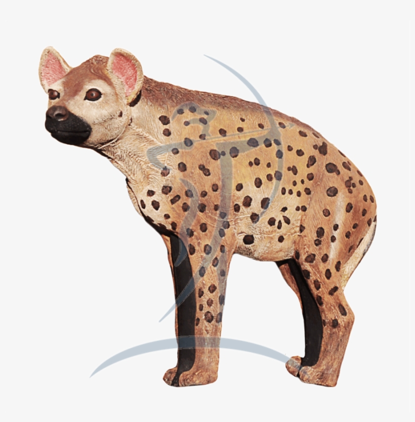 Asen/wildcrete 3d Hyena Large - Spotted Hyena, transparent png #8822338