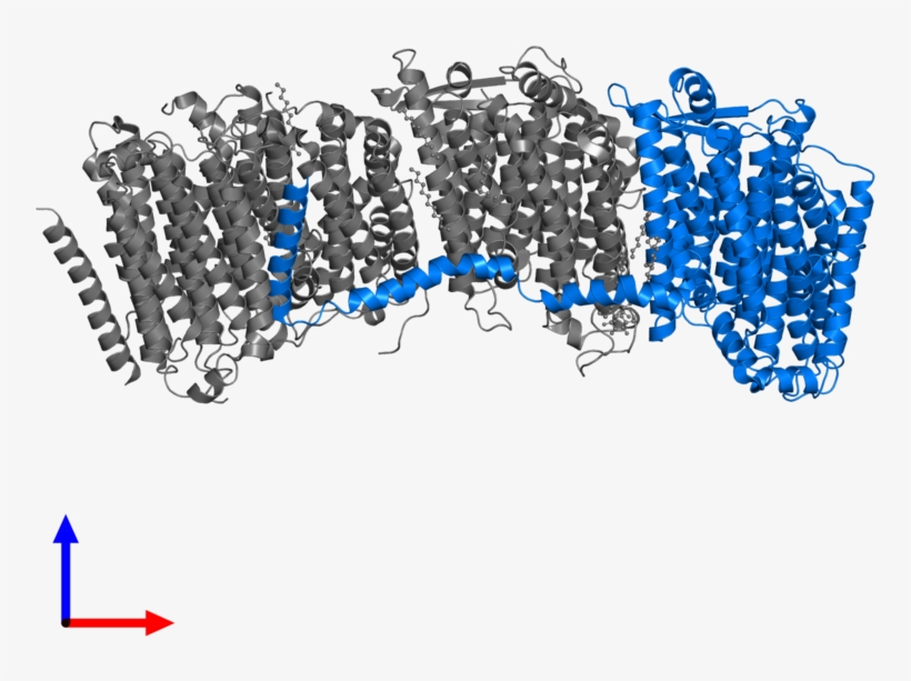 <div Class='caption-body'>pdb Entry 3rko Contains 1 - Illustration, transparent png #8823002