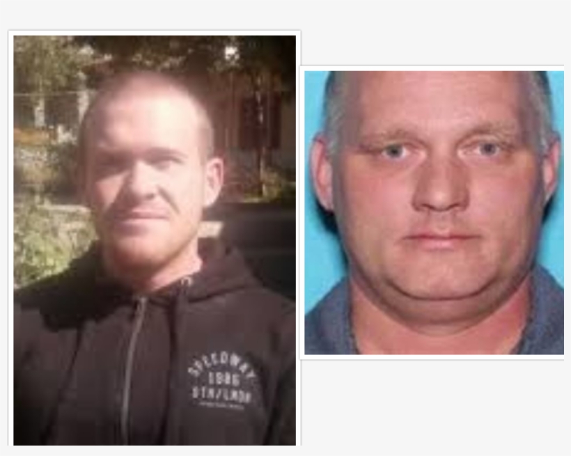 658 Kb Png - New Zealand Shooter Manifesto, transparent png #8875548