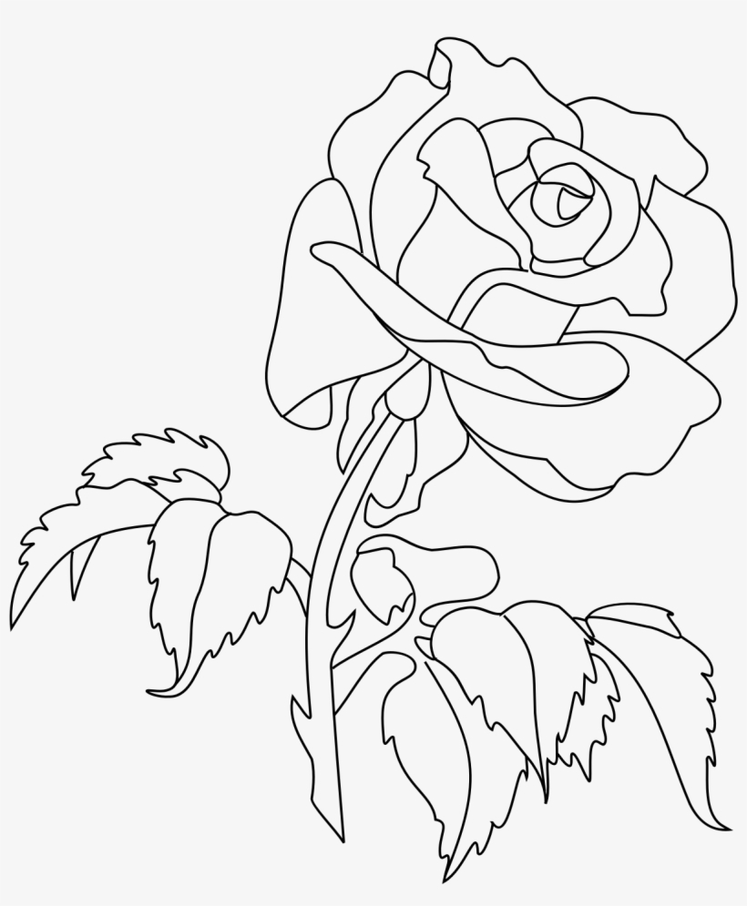 Big Image - Rose Drawing Png, transparent png #8876776