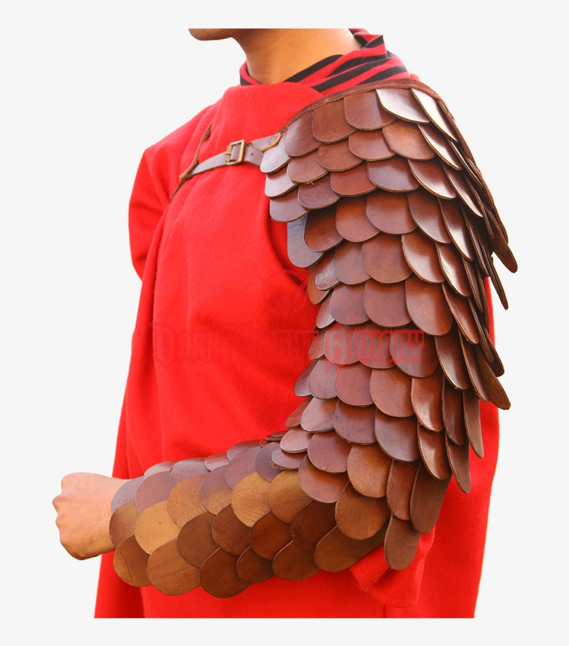 Gladiator Png, transparent png #8877944