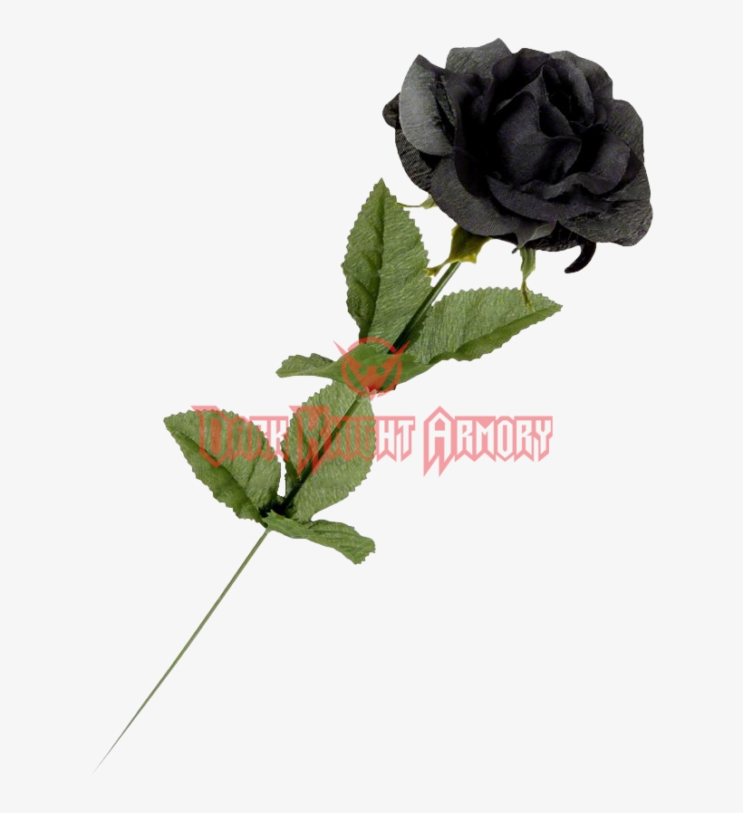 Black Roses Png, transparent png #8878750