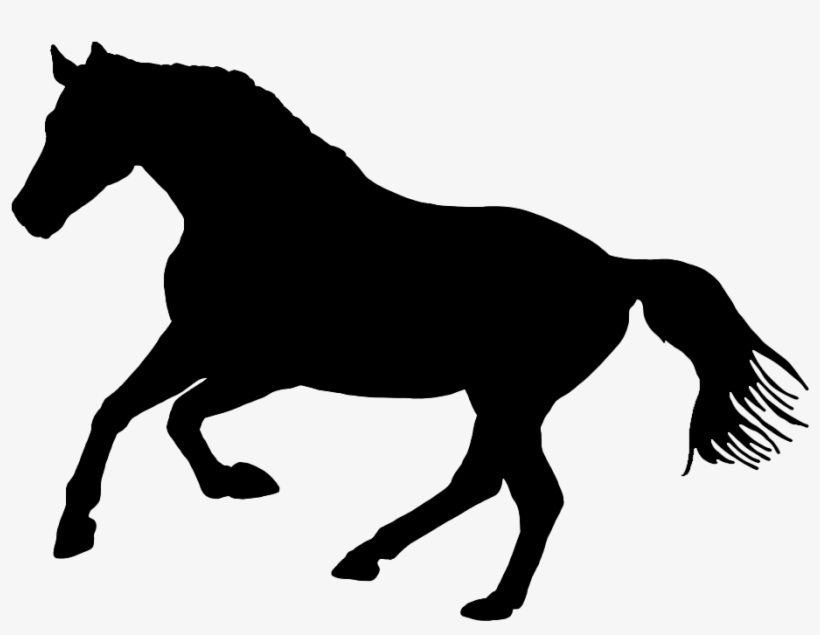 Black Silhouette Of Horse In Nature - Silueta De Un Caballo, transparent png #8879095