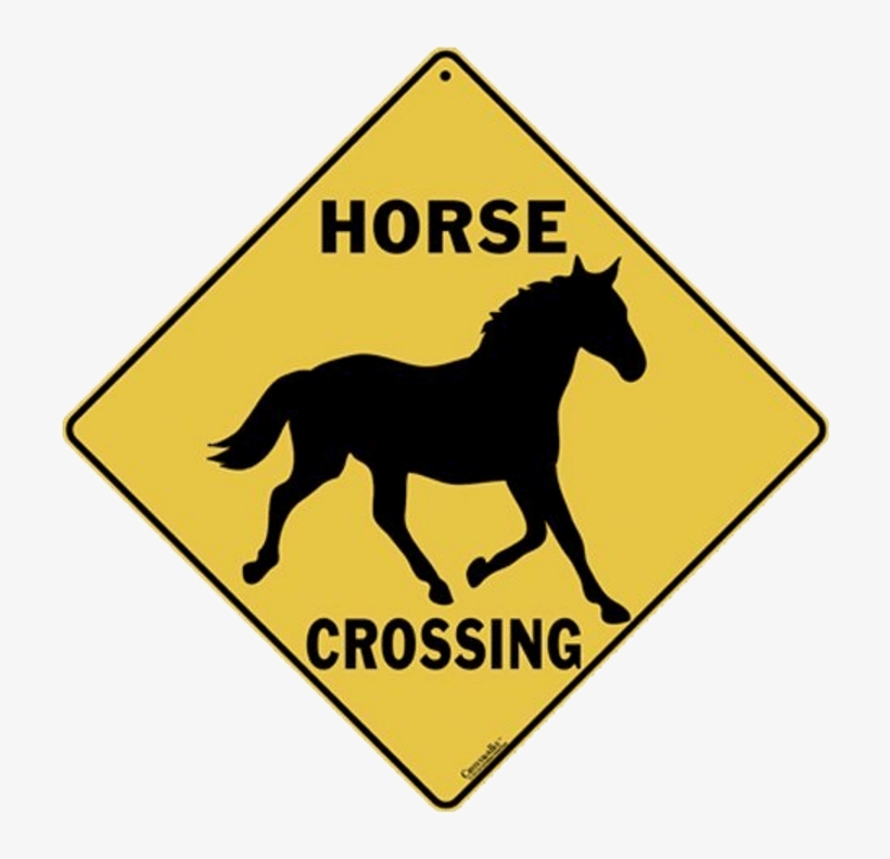 Printable Dinosaur Party Signs, transparent png #8879196