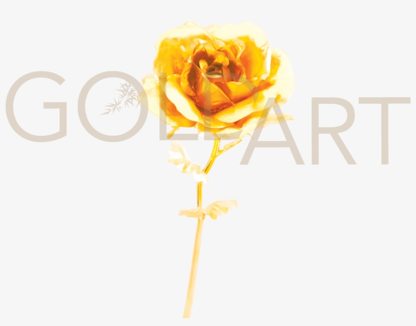 Gold Rose - Garden Roses, transparent png #8879705