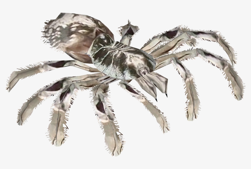 785 X 785 1 - Illustration, transparent png #8880508