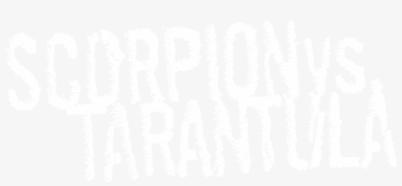 Scorpion Vs - Tarantula - Slope Records - Illustration, transparent png #8880763