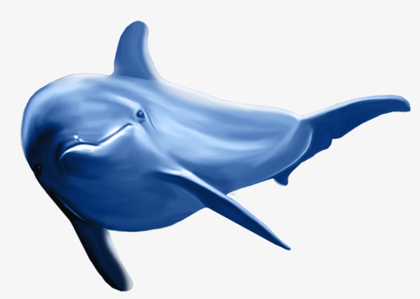 Dolphins, Art Images, Clip Art, Logos, Cartoon, Art - Dolphins Clipart, transparent png #8881656