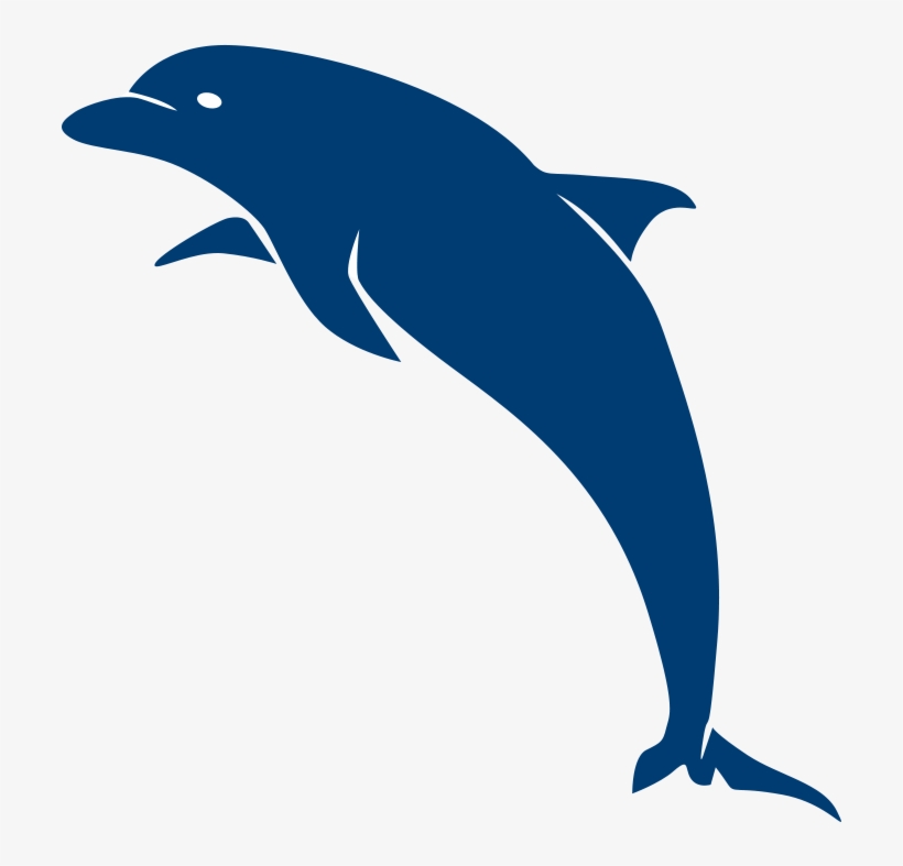 708 X 707 1 - Common Bottlenose Dolphin, transparent png #8881685