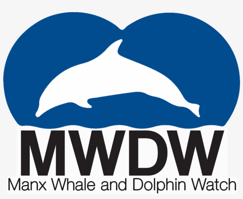 Adopt A Risso's Dolphin - Wholphin, transparent png #8882066