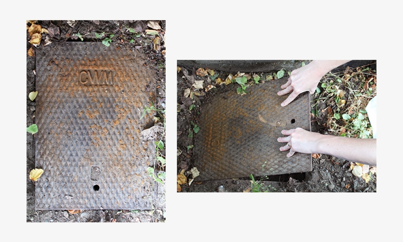 Locate Your Water Meter - Grass, transparent png #8882096