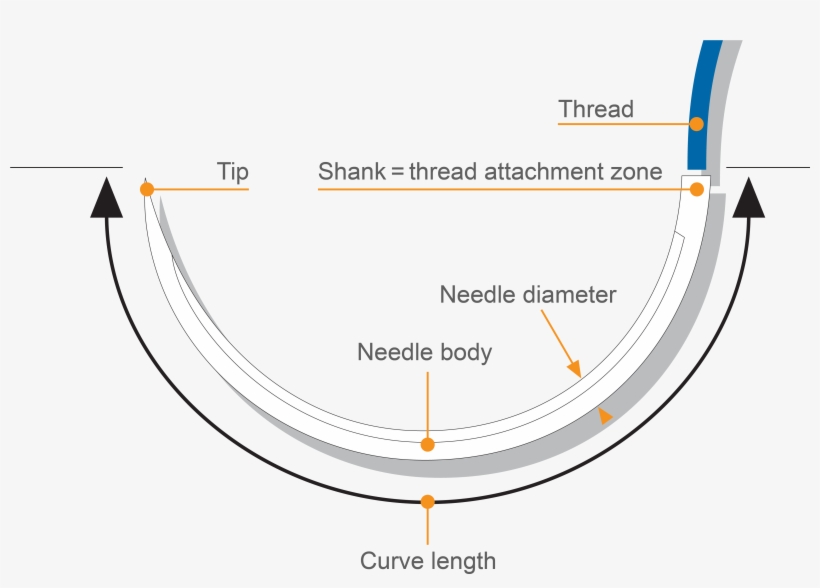 Needle Forms - Diagram, transparent png #8882169
