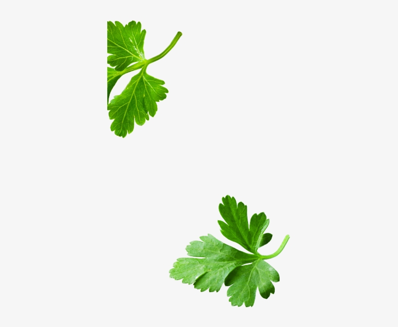 Clip Art, transparent png #8882765