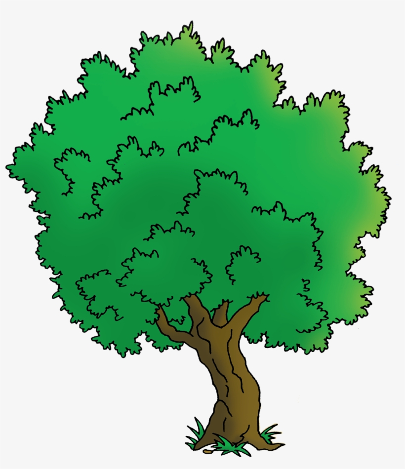Homecaillou Cailloutree-01 - Oak, transparent png #8883290