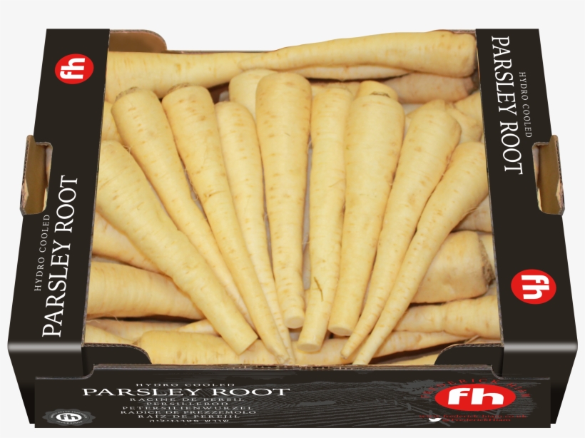 Parsley Root , Or Hamburg Parsley Is A Relatively New - Parsnip, transparent png #8883917