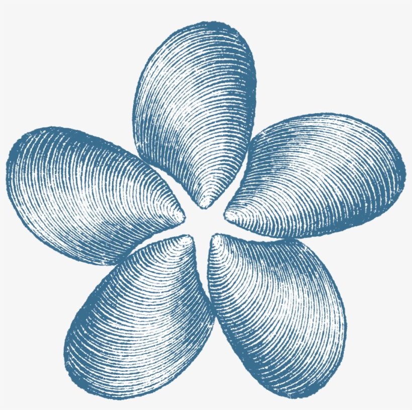 Natalie's Headshot - Illustration, transparent png #8884077