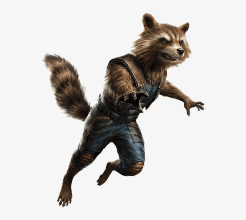 Raccoon Png - Avengers 4 Rocket Raccoon Png, transparent png #8884118