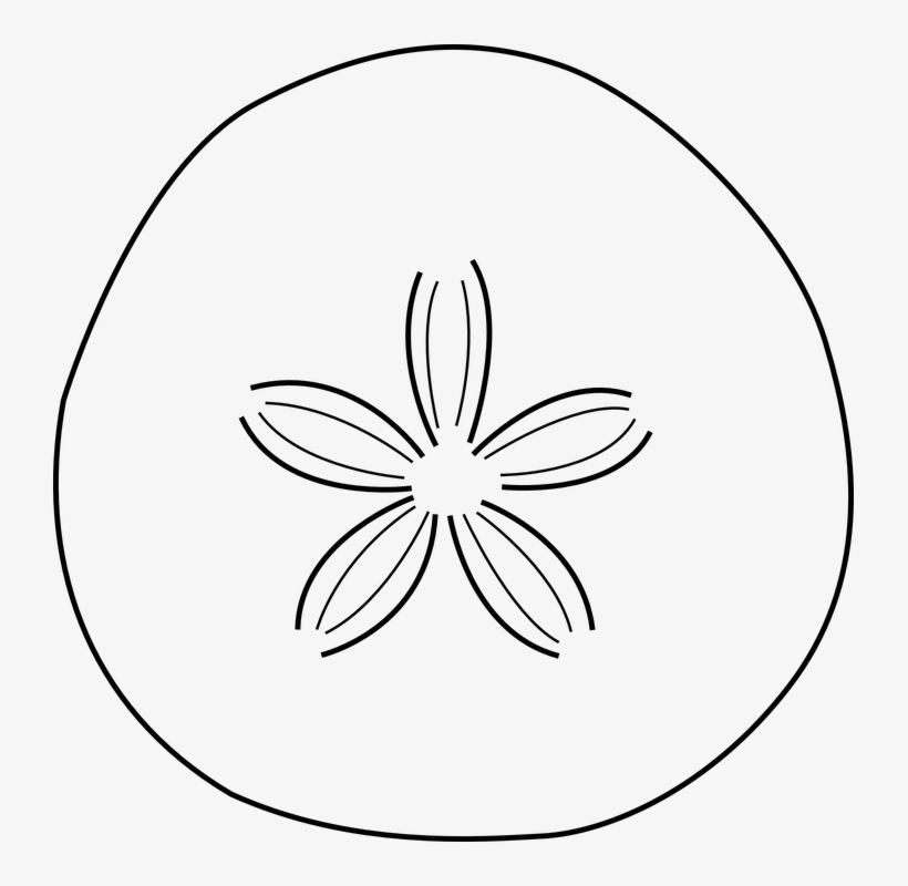 Fossil Clipart Leaf - Sand Dollar Black And White, transparent png #8886277