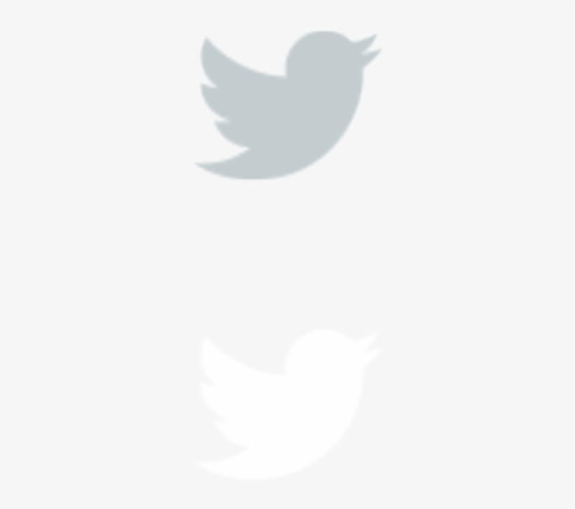 Twitter, transparent png #8886508