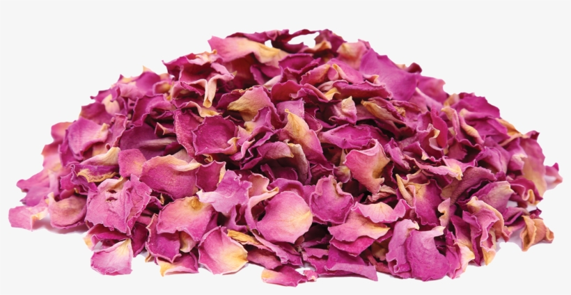 Herbs & Botanicals - Artificial Flower, transparent png #8887175