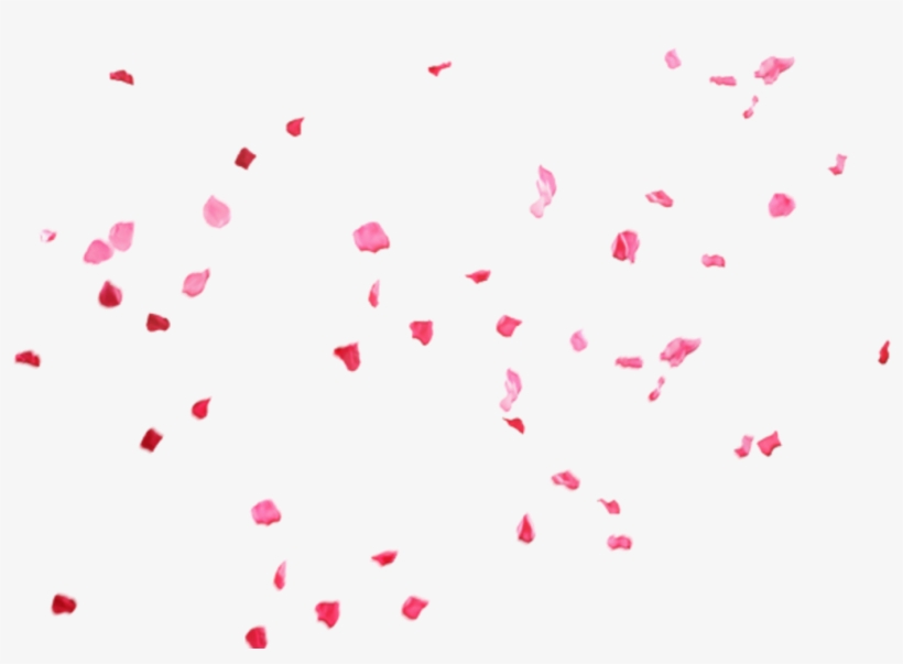Ftestickers Sticker - Petal, transparent png #8887578