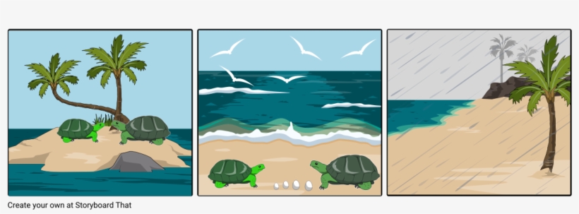 The Turtle And The Seagulls - Joyous Daybreak To End The Long Night, transparent png #8887952