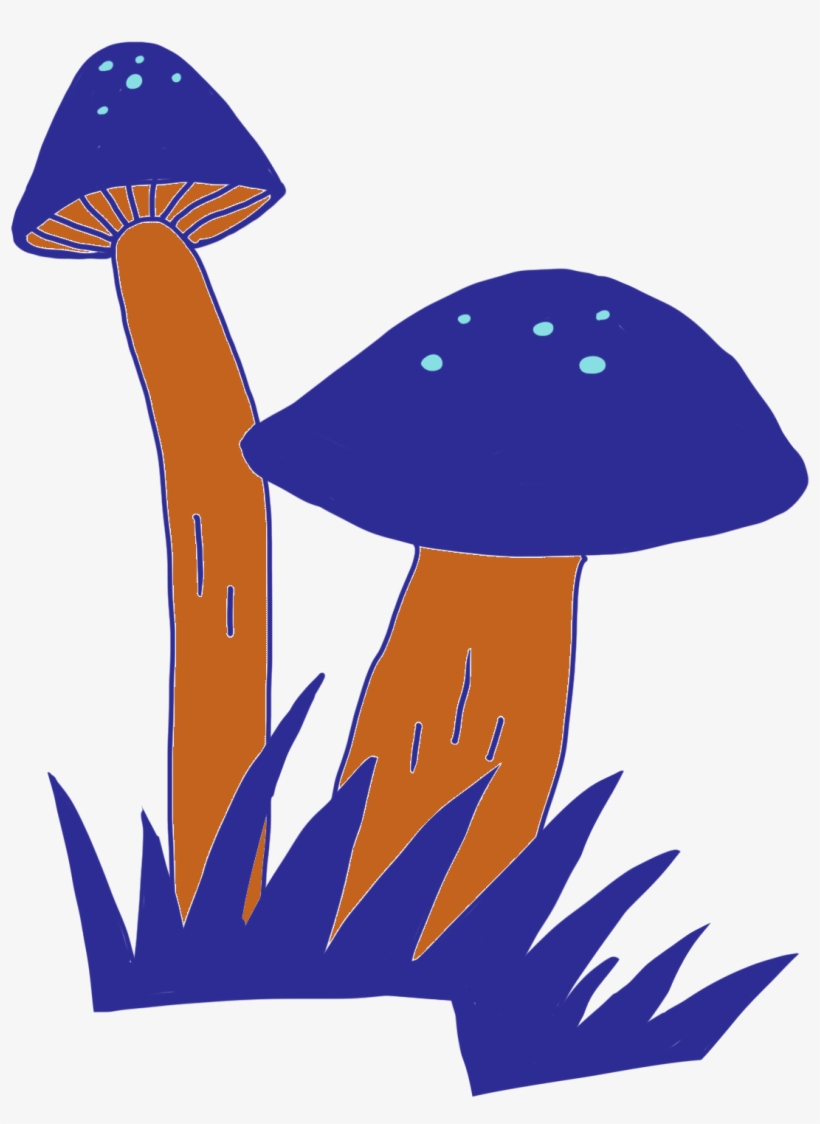 Scientists Have Used Carbon Dating And Archaeological - Edible Mushroom, transparent png #8887953