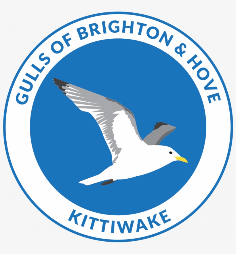 Black-headed Gull - Logo Palomas, transparent png #8887991