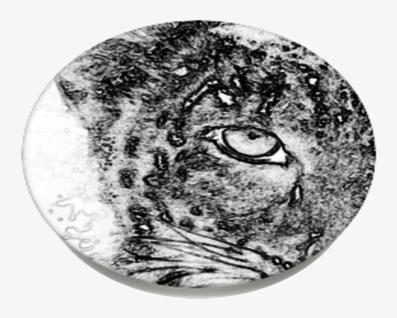 Cats Eyes, Popsockets - Sketch, transparent png #8888226