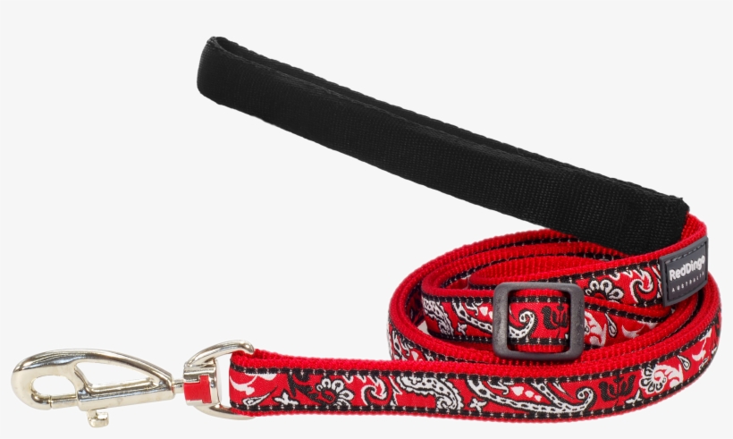 Products - Belt, transparent png #8888237