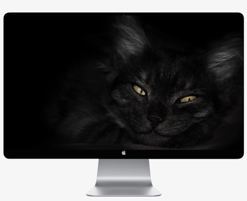 Score 50% - Wolf On A Cliff, transparent png #8888346