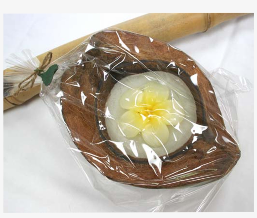 Coconut Candle With Plumeria Flower Large White - Floral Design, transparent png #8889546