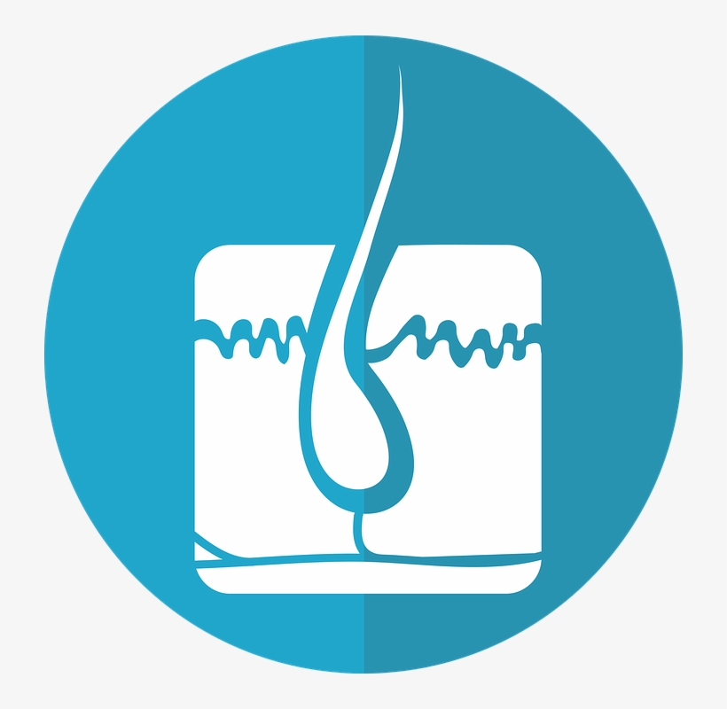 What Is An Electrolysis Laser - Foliculo Piloso Png, transparent png #8889560