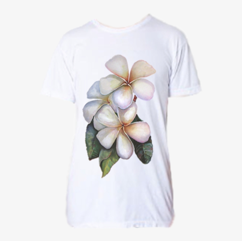 Frangipani, transparent png #8889659