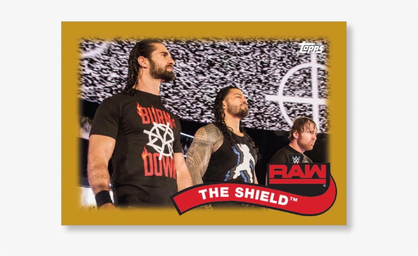 Gallery - The Shield, transparent png #8889800