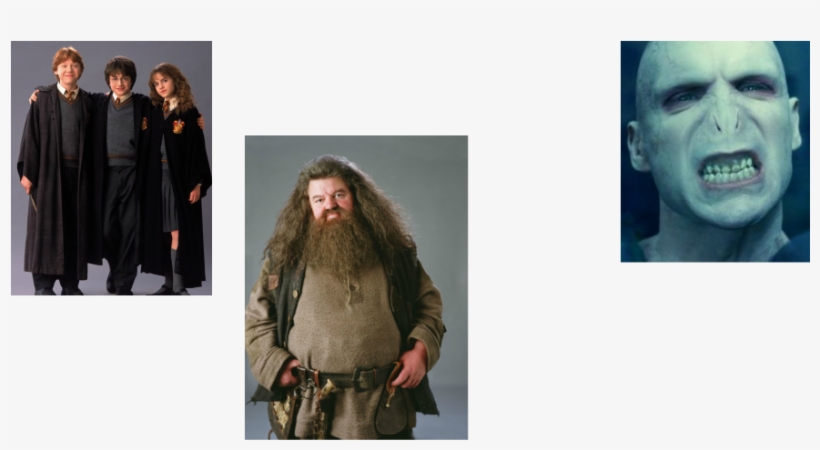 Voldemort - Fat Long Hair Man, transparent png #8890770