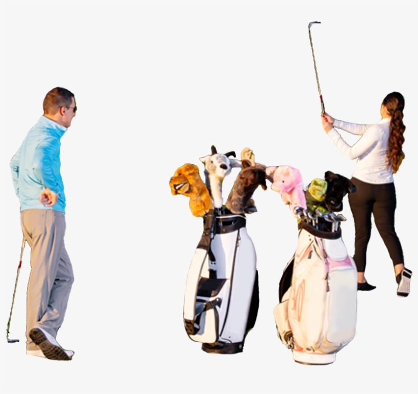 Black Poodle Hybrid - Foursome (golf), transparent png #8891239