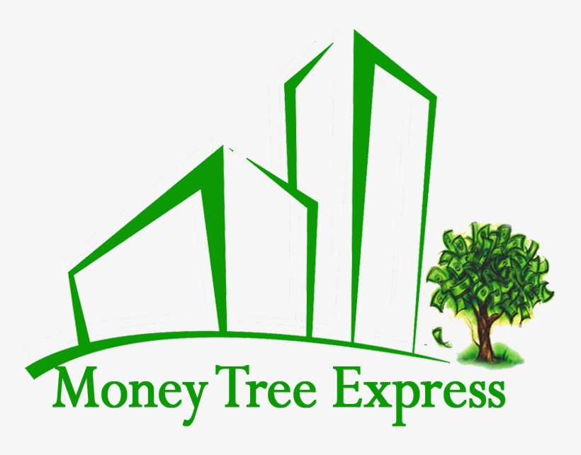 Broccoli, transparent png #8893253