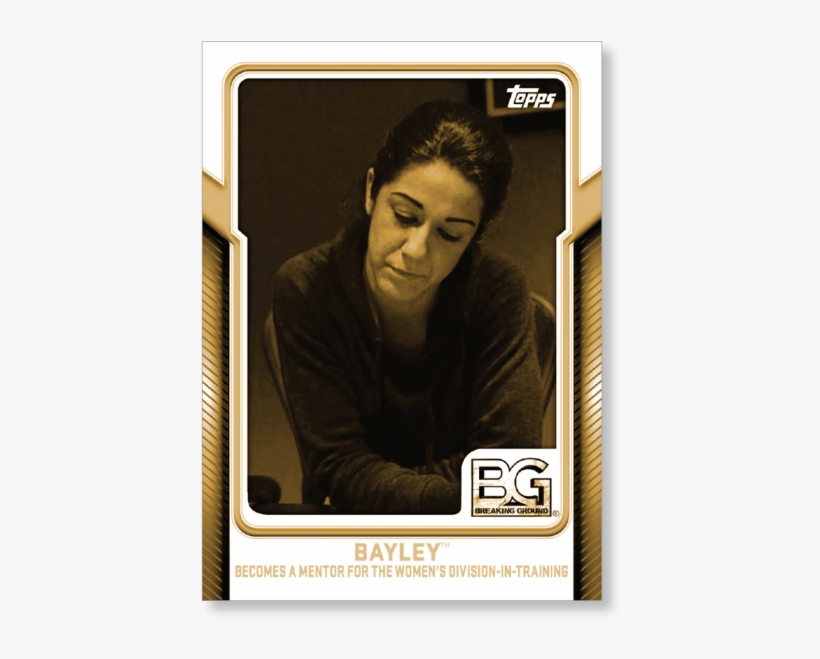 Gallery - Wwe, transparent png #8893776