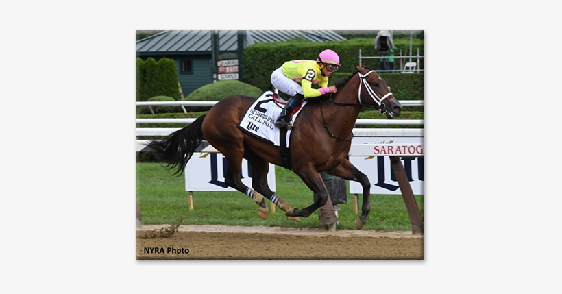 Skip To Content - Horse Racing, transparent png #8894073