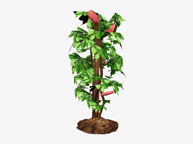 Flower Bush Png Death Eggplant Clipart - Bell Pepper Plant Png, transparent png #8895155