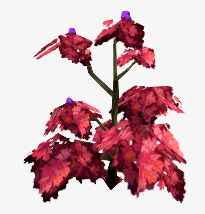 Orchid, transparent png #8895283