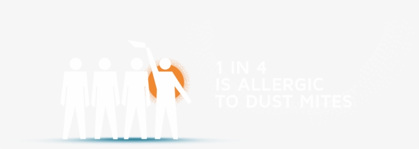 Dust Mite Allergy - Graphic Design, transparent png #8895284