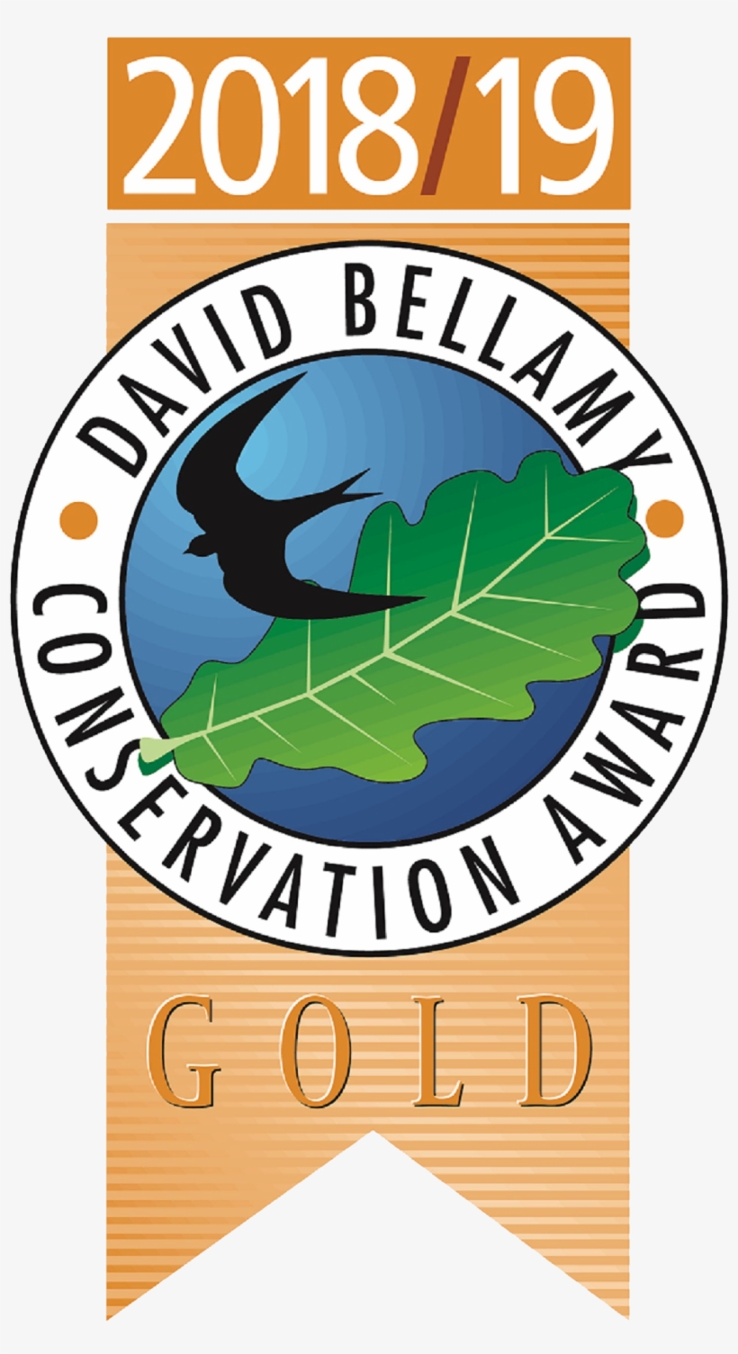 Like Borders Hideaway On Facebook - David Bellamy Conservation Award, transparent png #8895858