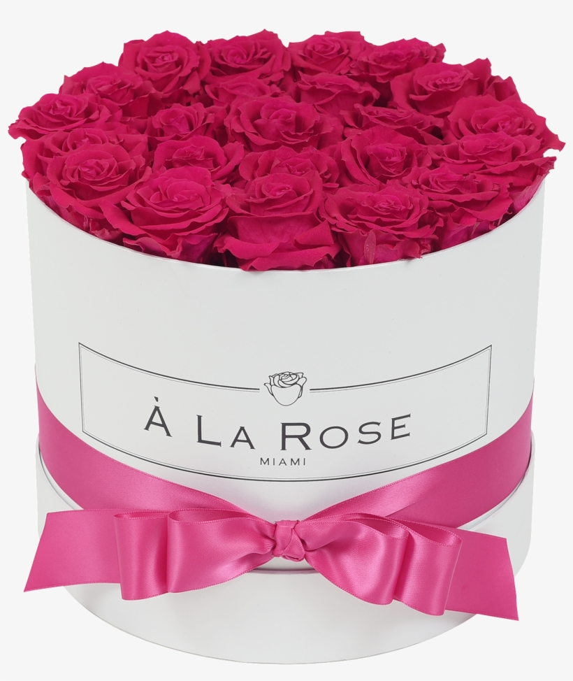Orb Deluxe Hot Pink Roses - Pink Roses, transparent png #8896121