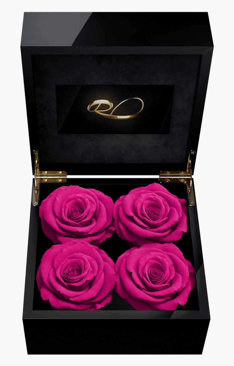 Luxury Video Flower Box Majestic Iv With 4 Preserved - Flower Box, transparent png #8896267